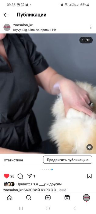 Курсы груминга  ! Базовый курс с нуля . НОВЫЙ СТАРТ 10.01