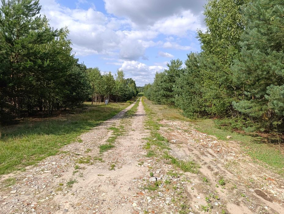 14 działek budowlanych od 1040 m² do 1101 m², Ludowinka gm. Wodzierady - Widok 5