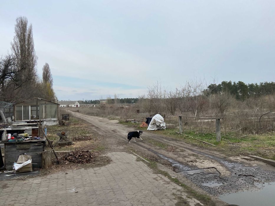 Продаж нежитлових приміщень (ферма) 10589,9м², 9,7592га, Черкаська обл