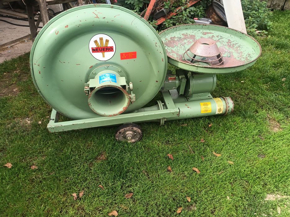 wyka jara facelia mieszanka gorzowska