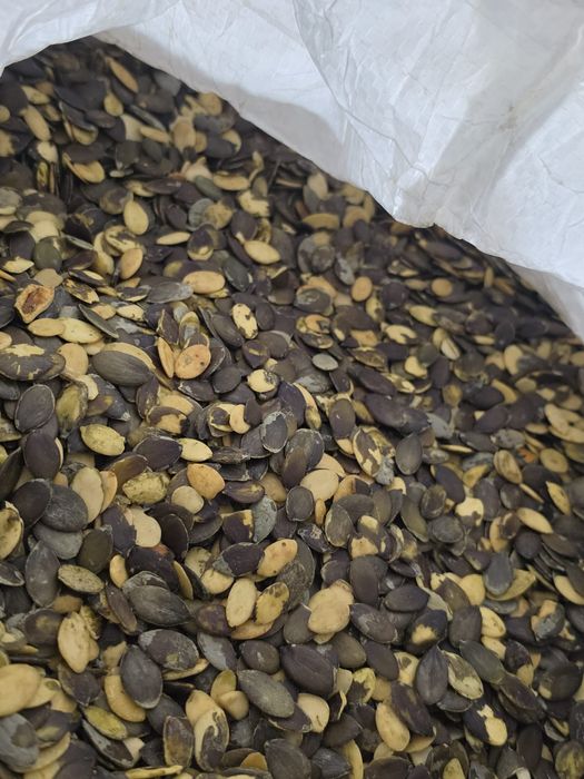 Sprzedam pestkę dyni różne gatunki olejowa, piekarnicza