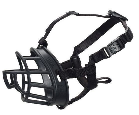 Bezpieczny kaganiec fizjologiczny Baskerville Ultra-5 Labrador Golden