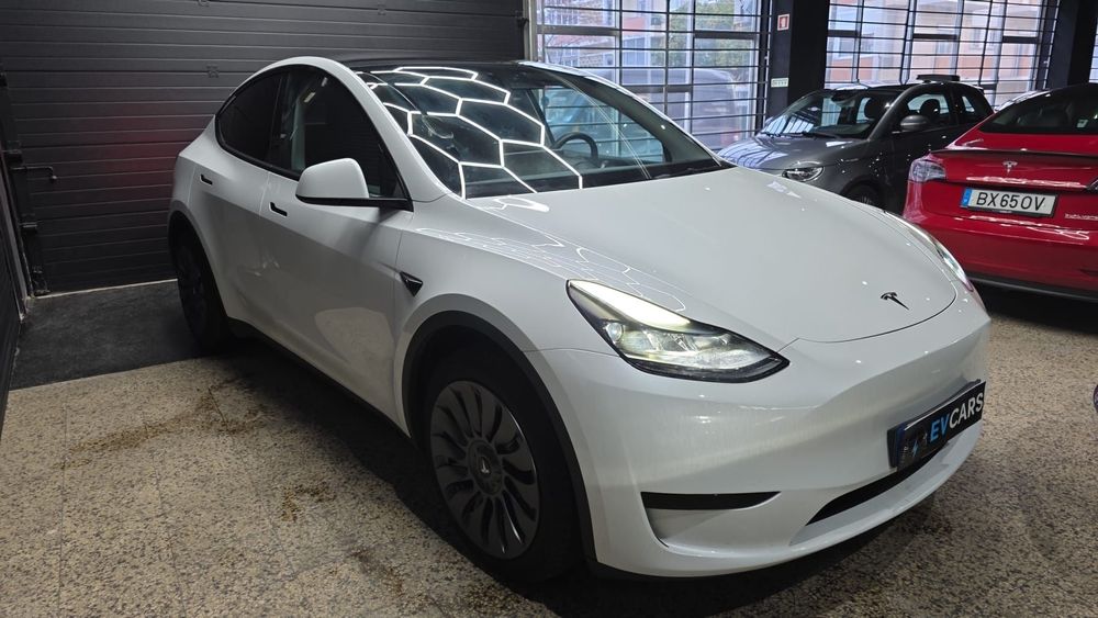 Tesla Model Y Standard