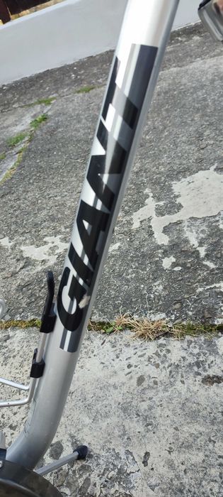 Rower Giant rama M