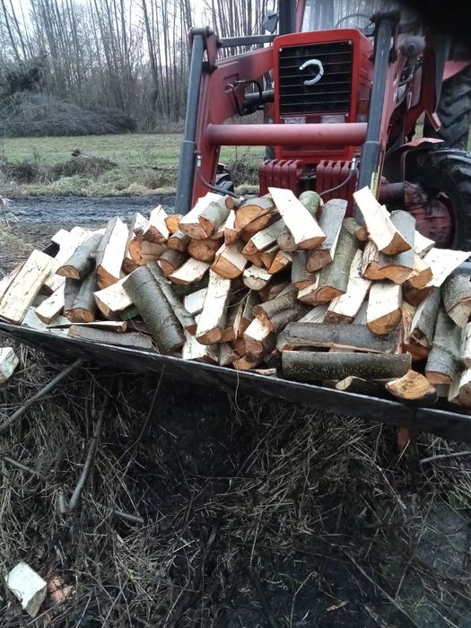 Sprzedam drzewo opałowe