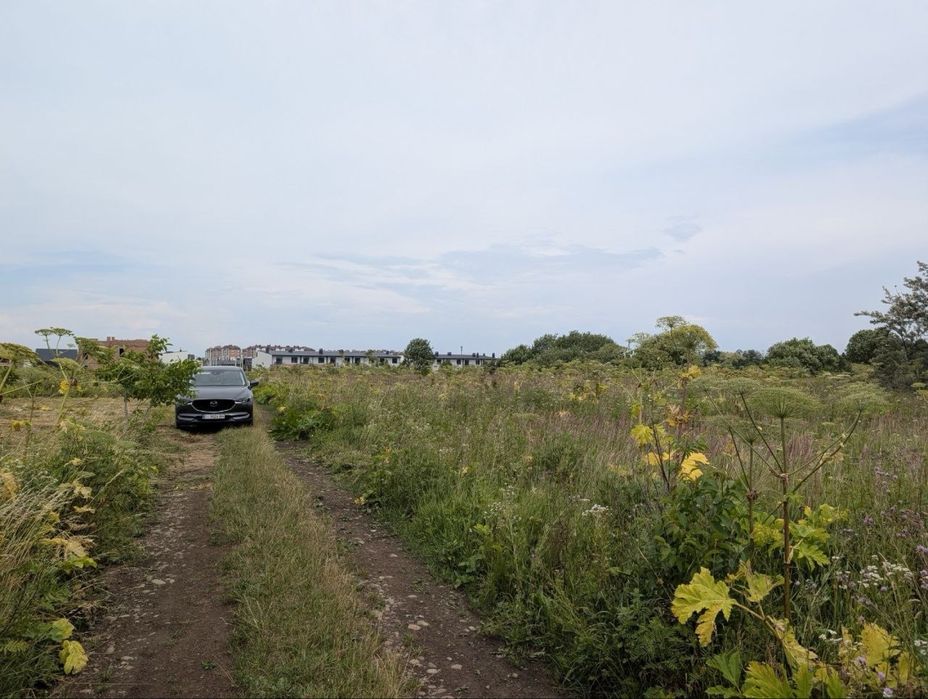 Продаж перспективної  земельної ділянки в Крихівцях,  Горішній Лан