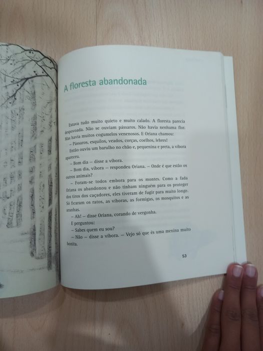 Livro "A Fada Oriana"