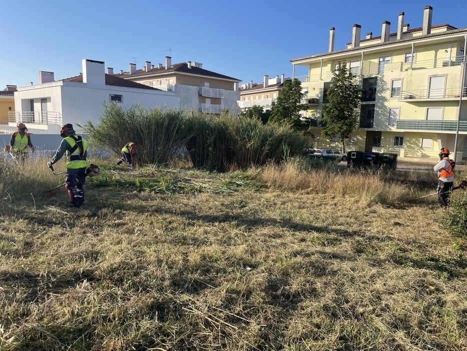 Limpeza de terrenos, corta mato, abate de arvores