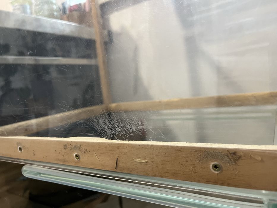 Akwarium dla chomika