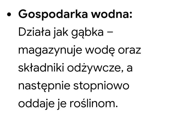 Perlit 20 l-dodatek do ziemi do kwiatów