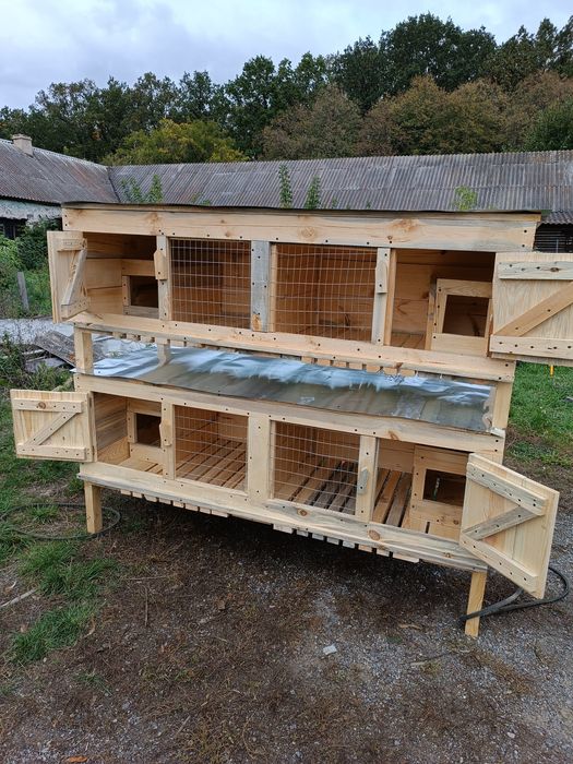 Кролятник 4 відділи