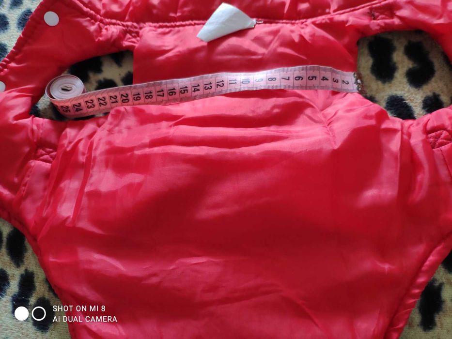 Одежда для собакчки