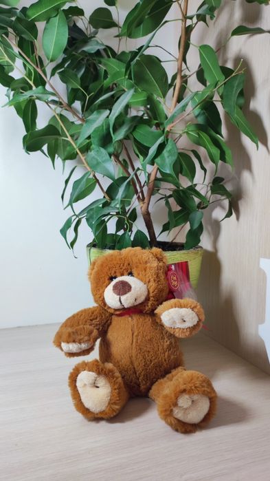 М'яка іграшка Keel Toys ведмедик, Nici пінгвін