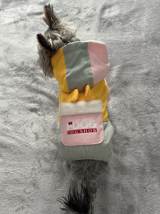 Комбінезон для собаки