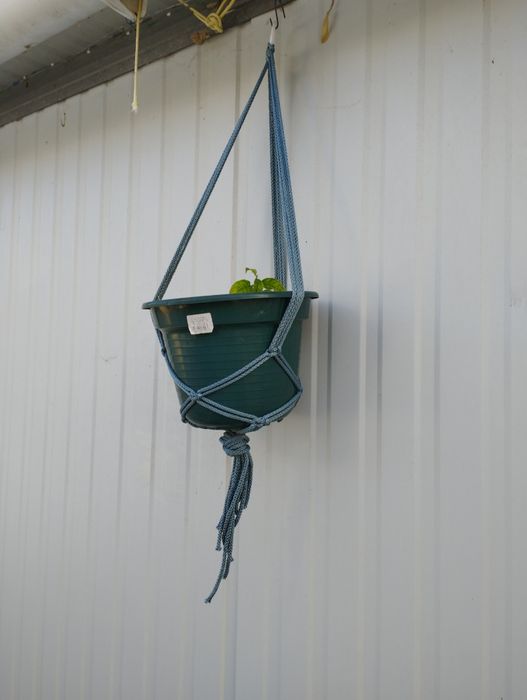 Suporte para plantas em macramé