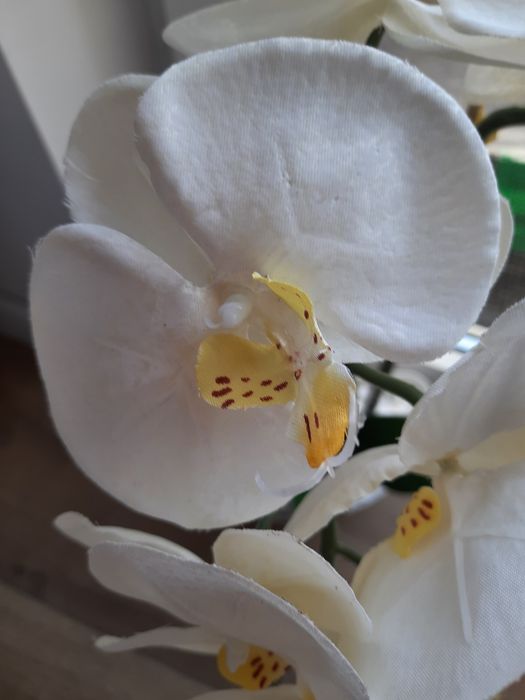 Storczyk sztuczny satynowy jak żywy