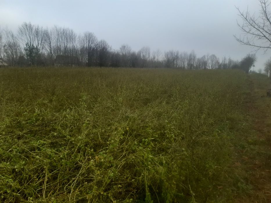 6 działek budowlanych Uzdowo