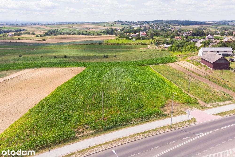 Prostokątna działka budowlana - Widok 4