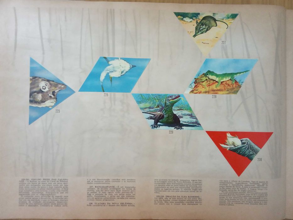 Caderneta de cromos completa Segredos do Mundo Animal