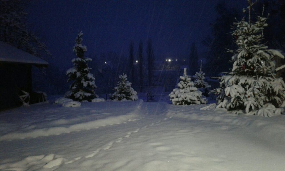 сдам дом сруб Ковбой на берегу пруда в п | Хорошево в 12км от Харькова