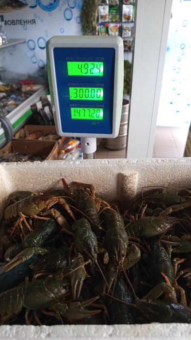 Продам живі раки
