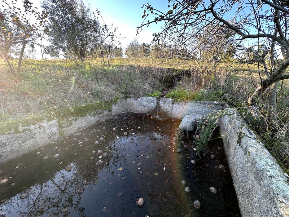 Refúgio de 9 Hectares com Vistas para a Serra da Estrela