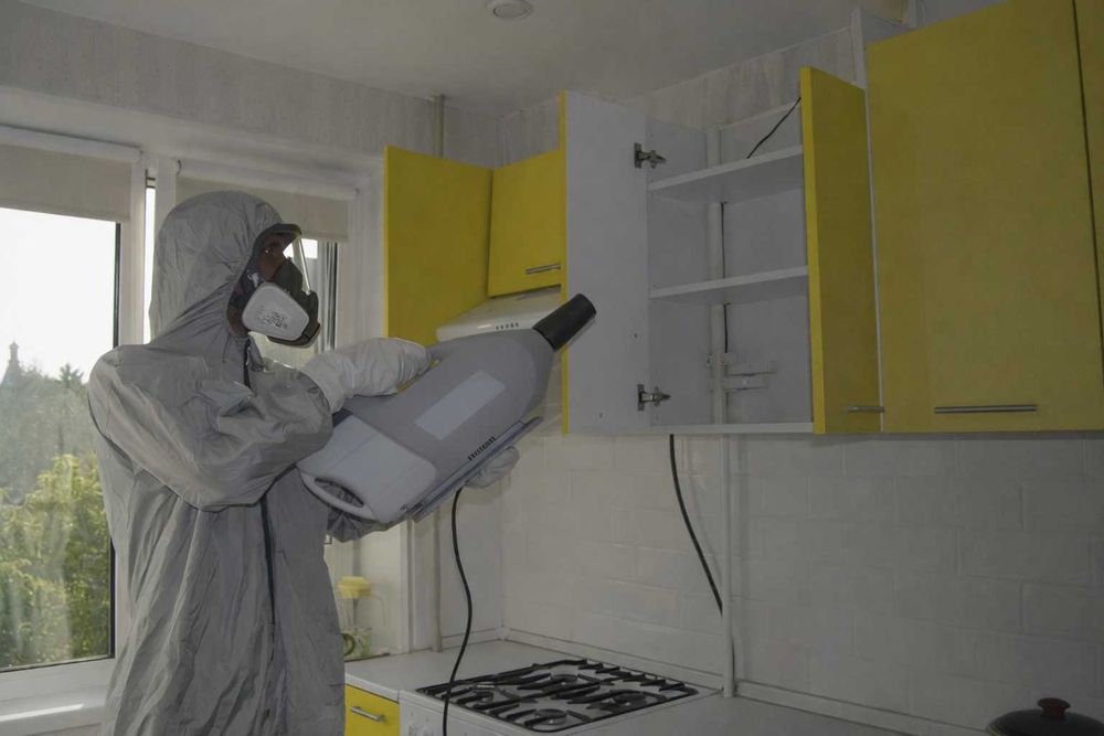 Уничтожение тараканов и клопов Киев и область Срочно Выезд сегодня