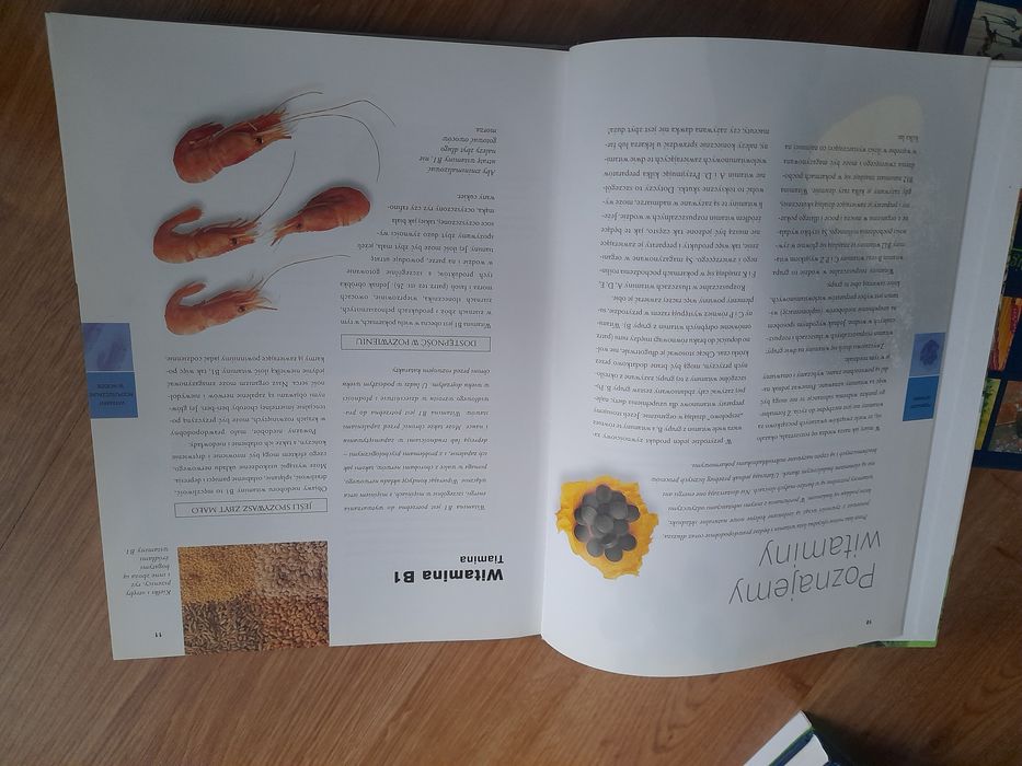 Książka ABC witamin