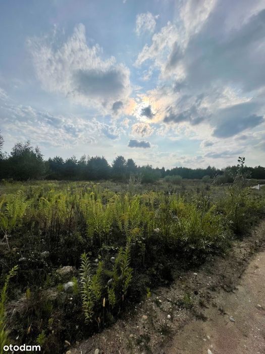 Bezpośrednio - sielska działka nad stawem koło lasu - 26km od Warszawy