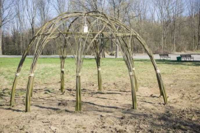 Altana, altanka z wierzby Salix Viminalis Gigant