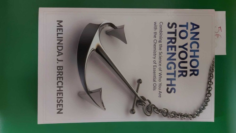 Anchor to Your Strengths de Melinda J. Brecheisen