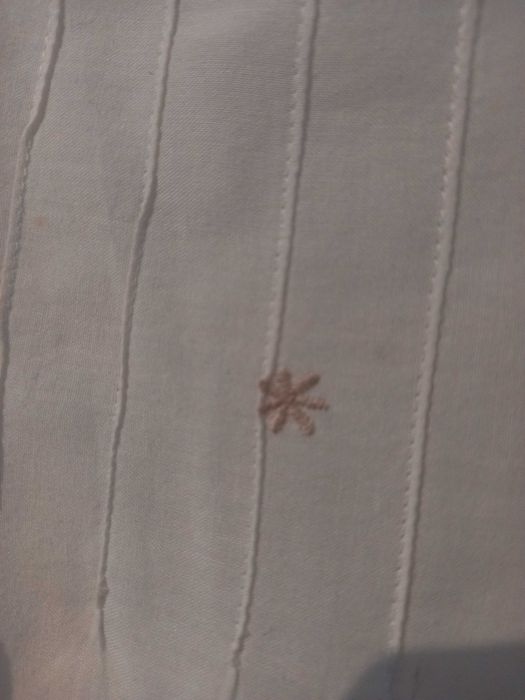 Túnica Mássimo Dutti Bordada como nova