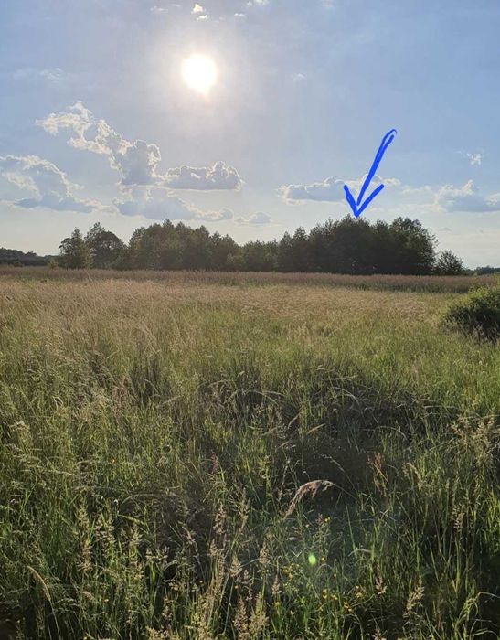 Dzialka rolna 79 arów