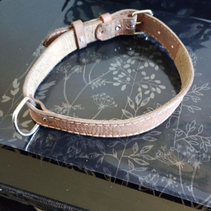 Obroża skórzana dla psa