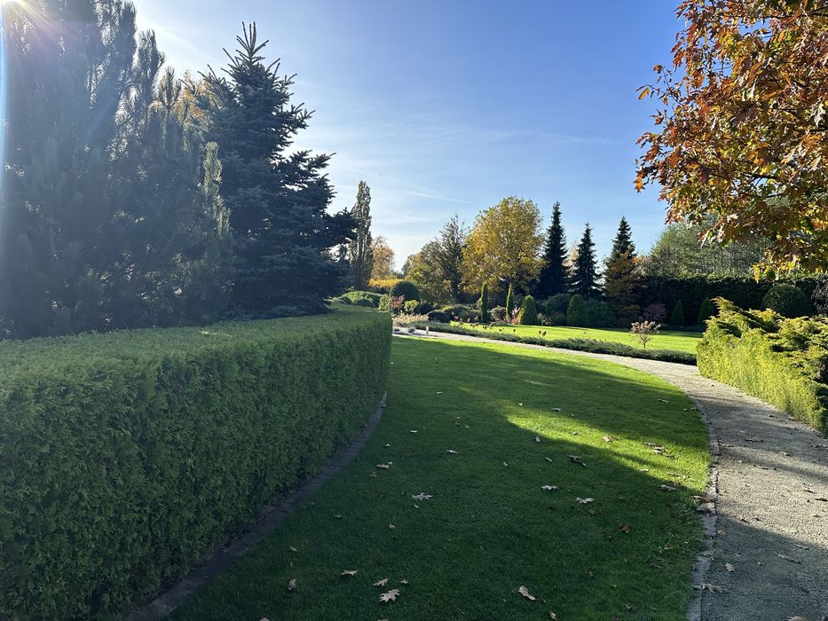 Regeneracja, wertykulacja trawników, prace pielęgnacyjne w ogrodzie.