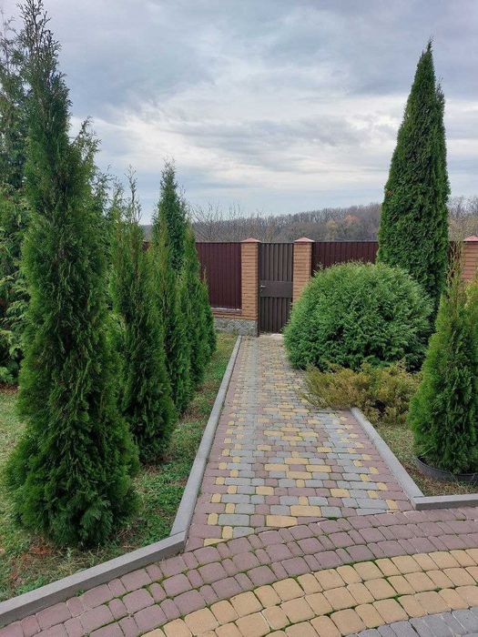 продам будинок пгт Високий