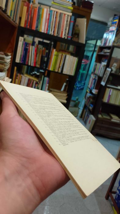 A Aplicação Racional da Madeira de Pinho na Construção Civil