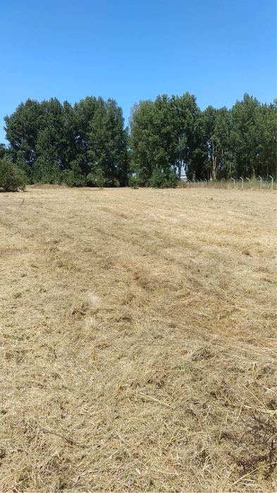 Aluguer Terreno na N5 Montojo/Alcochete - 0,53ha