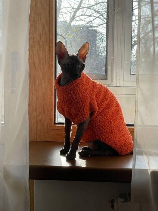 Плюшевая одежда,  свитера для котов, кошек, котят, собак, сфинксов