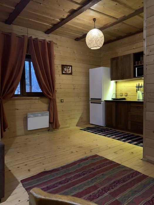 Відпочинок у Карпатах котеджі біля річки та лісу