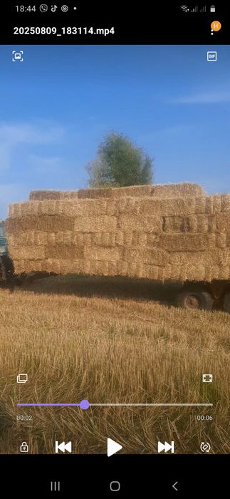 Тюки соломи пшеничної і вівсяної