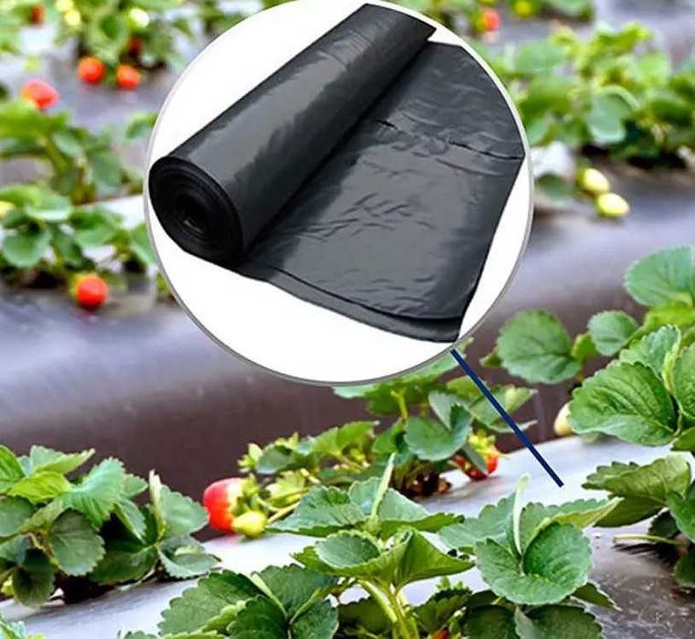 Пленка мульчирующая черная, от сорняков (первичка), 500м, 1000м