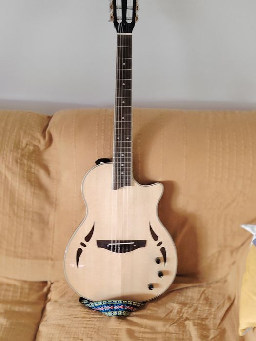 Vendo guitarra Nashville