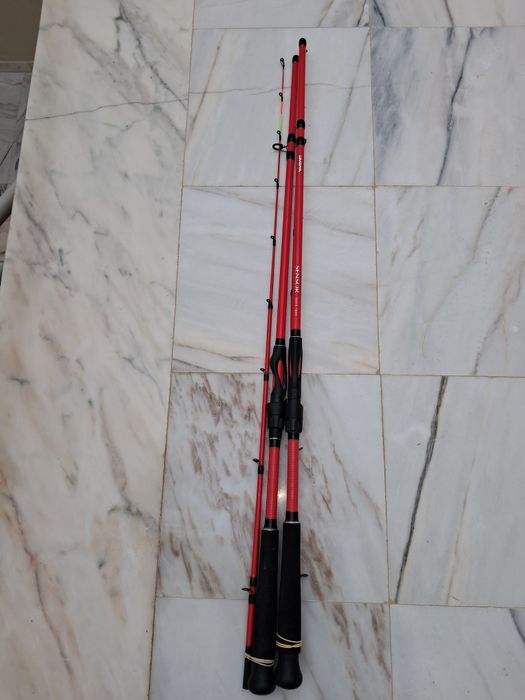 2 Canas pesca choco 30 euros