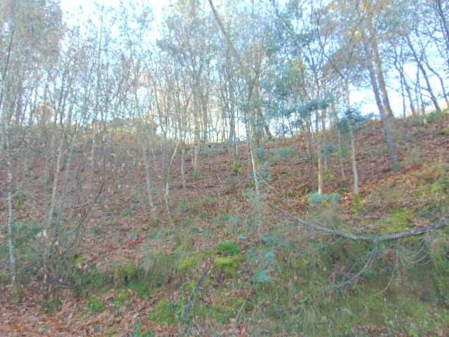 Venda de terreno Gerês perfeito para quem procura paz e tranquilidade.
