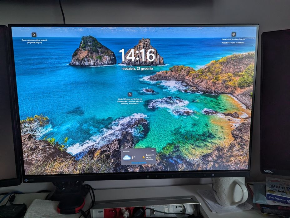 Bezramkowy Monitor 24" EIZO EV2455 BLACK 1920x1200 bez podstawy