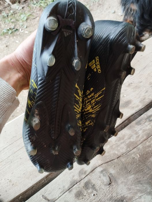 Korki predator roz40