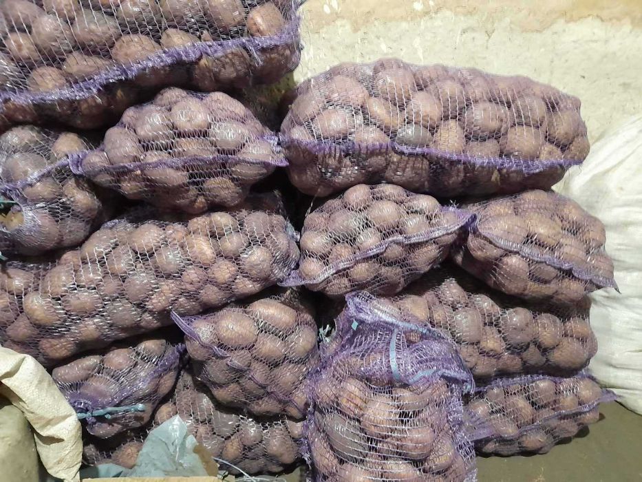 домашня картопля у сітках