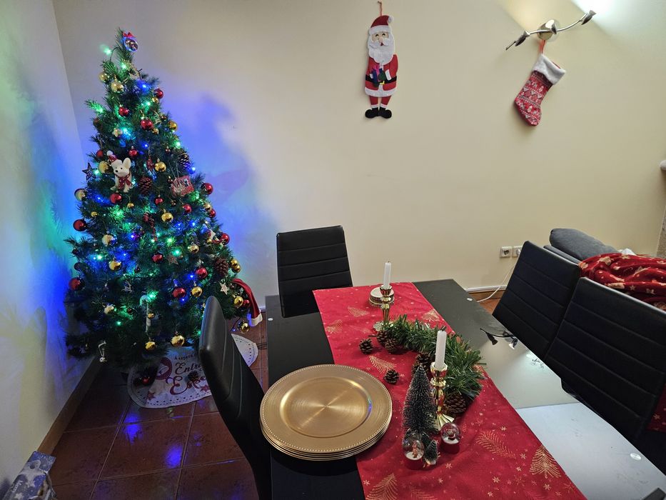 Conjunto de decoração natal
