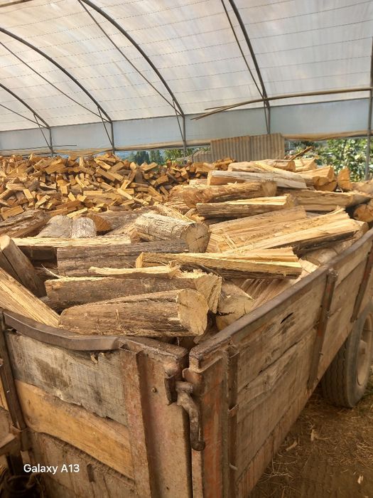 Lenha seca entro vila verde braga amares